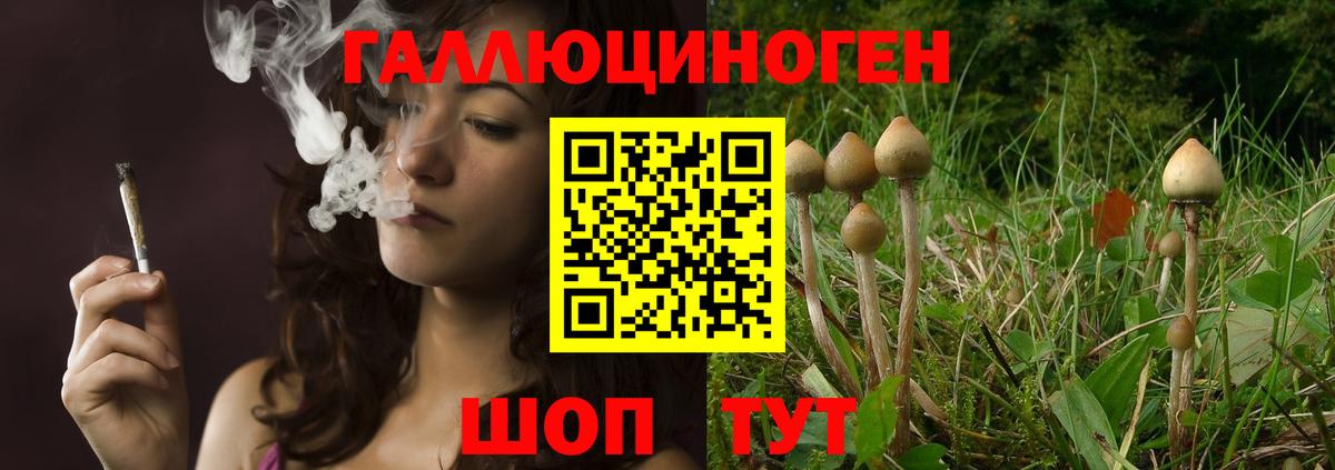 Галлюциногенные грибы MAGIC MUSHROOMS Прокопьевск